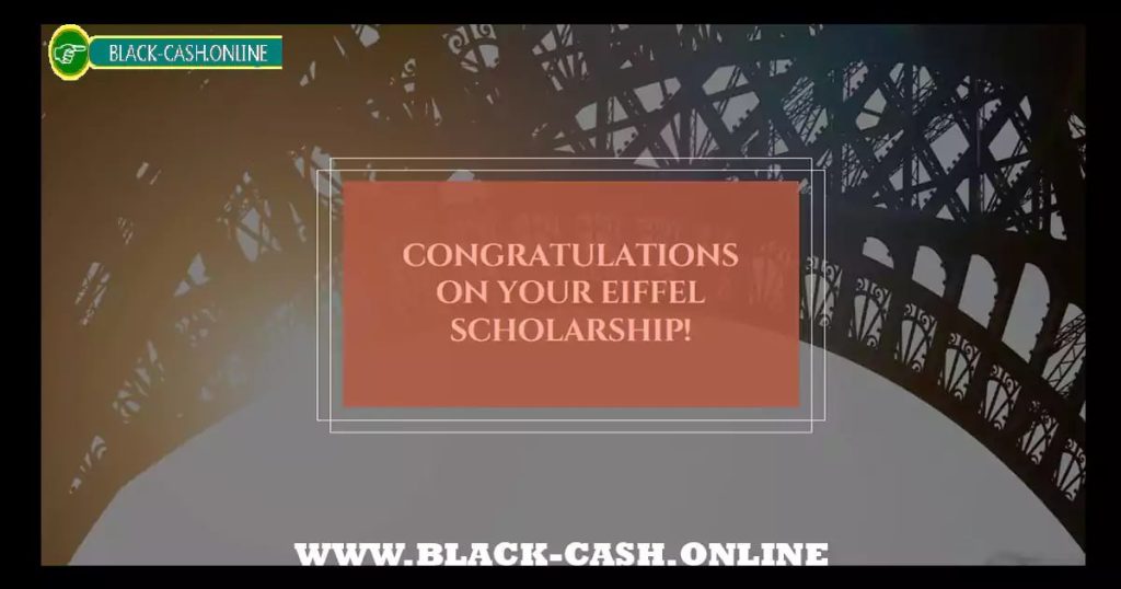 eiffel scholarship acceptance rate