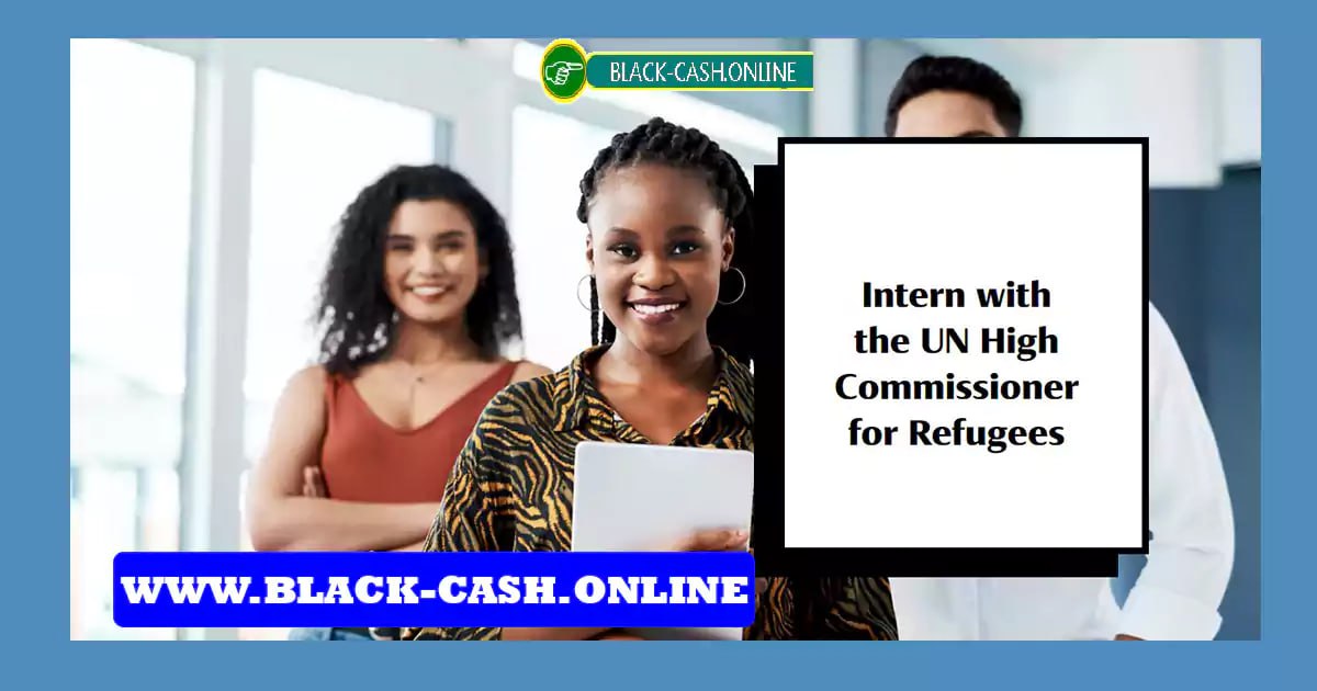 fully funded un high commissioner for refugees internship 2024